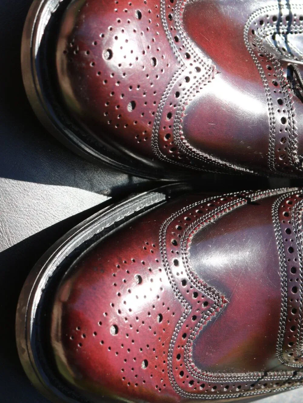 Stuart McGuire Longwing Blucher 